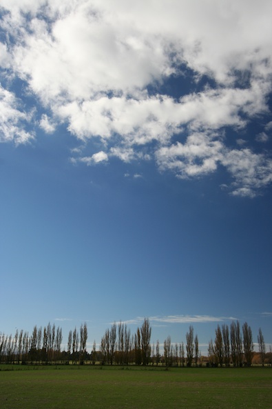 New Zealand