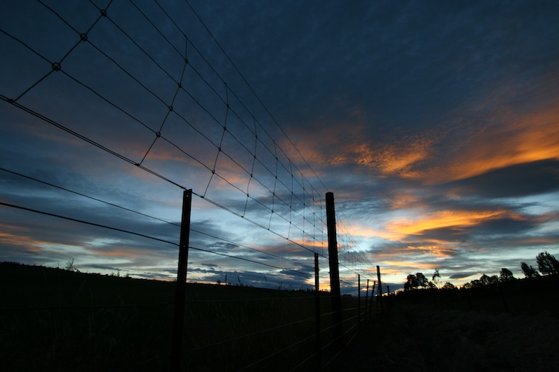 South Island