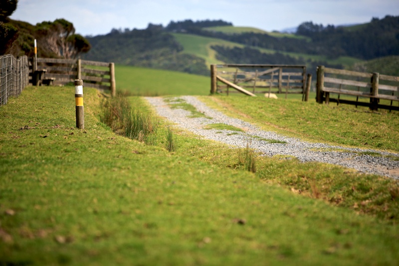 South Island