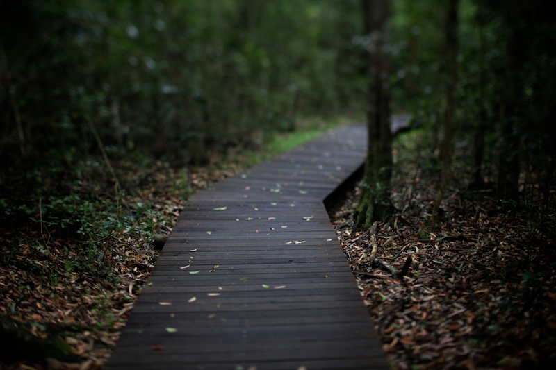 Wilderness