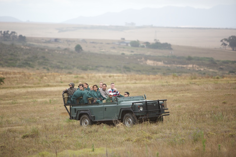 Garden Route Game Lodge