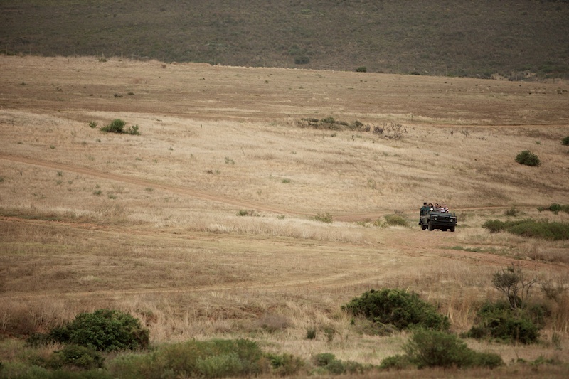 Garden Route Game Lodge