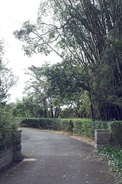 Nielson Park