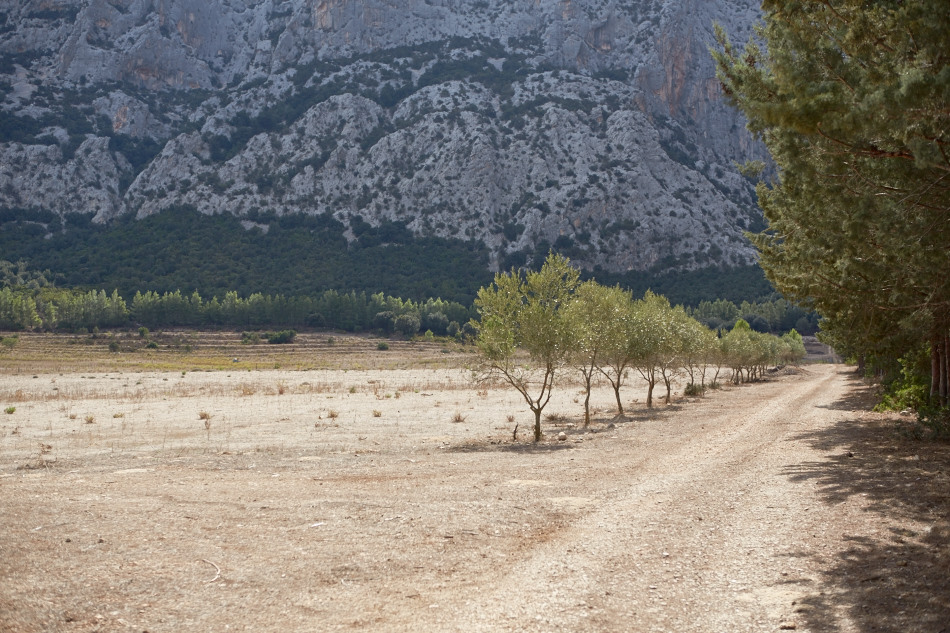 Sardinia