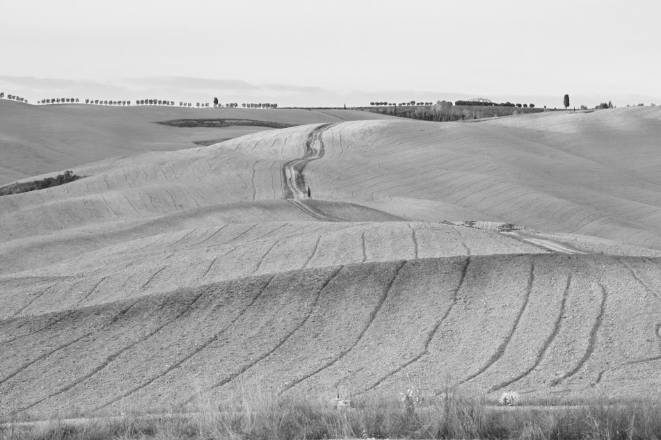 Val d'Orcia