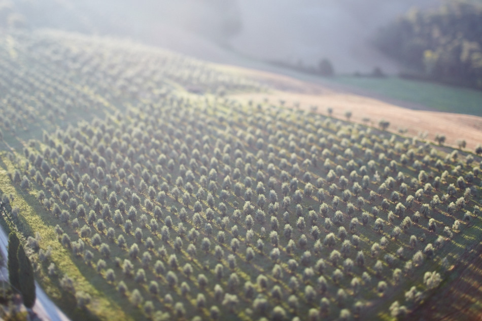 Hot Air Ballooning in Tuscany