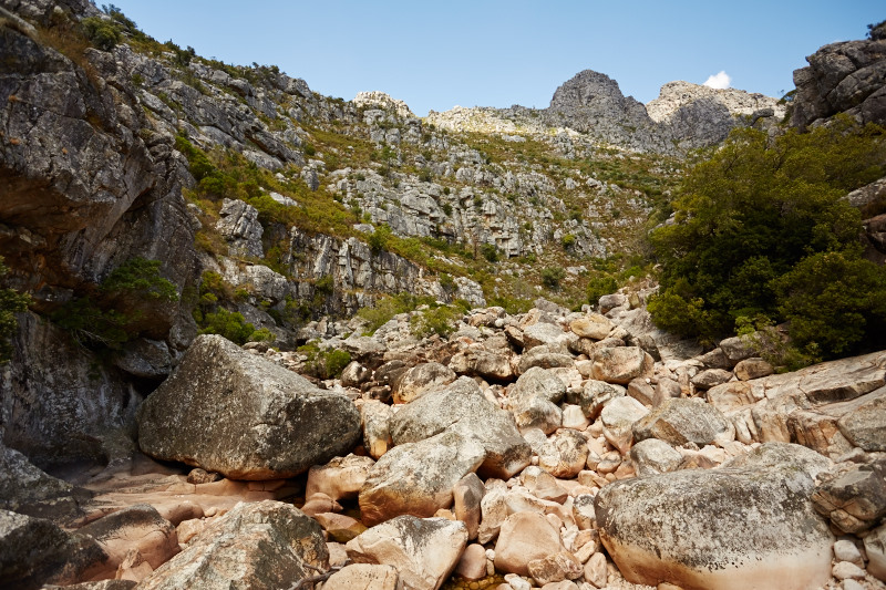 Cape Town 2015