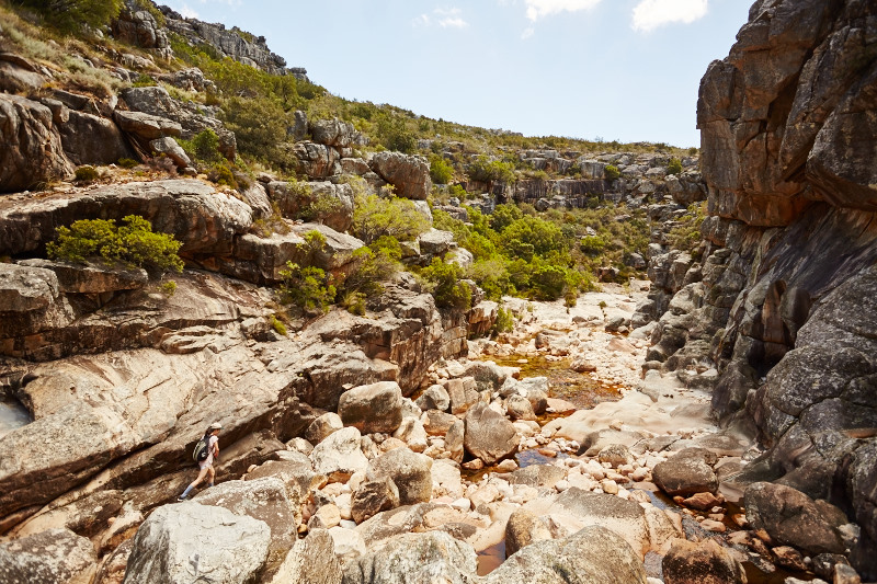 Cape Town 2015