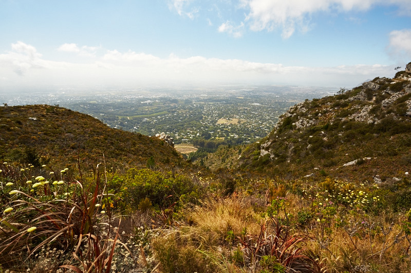 Cape Town 2015