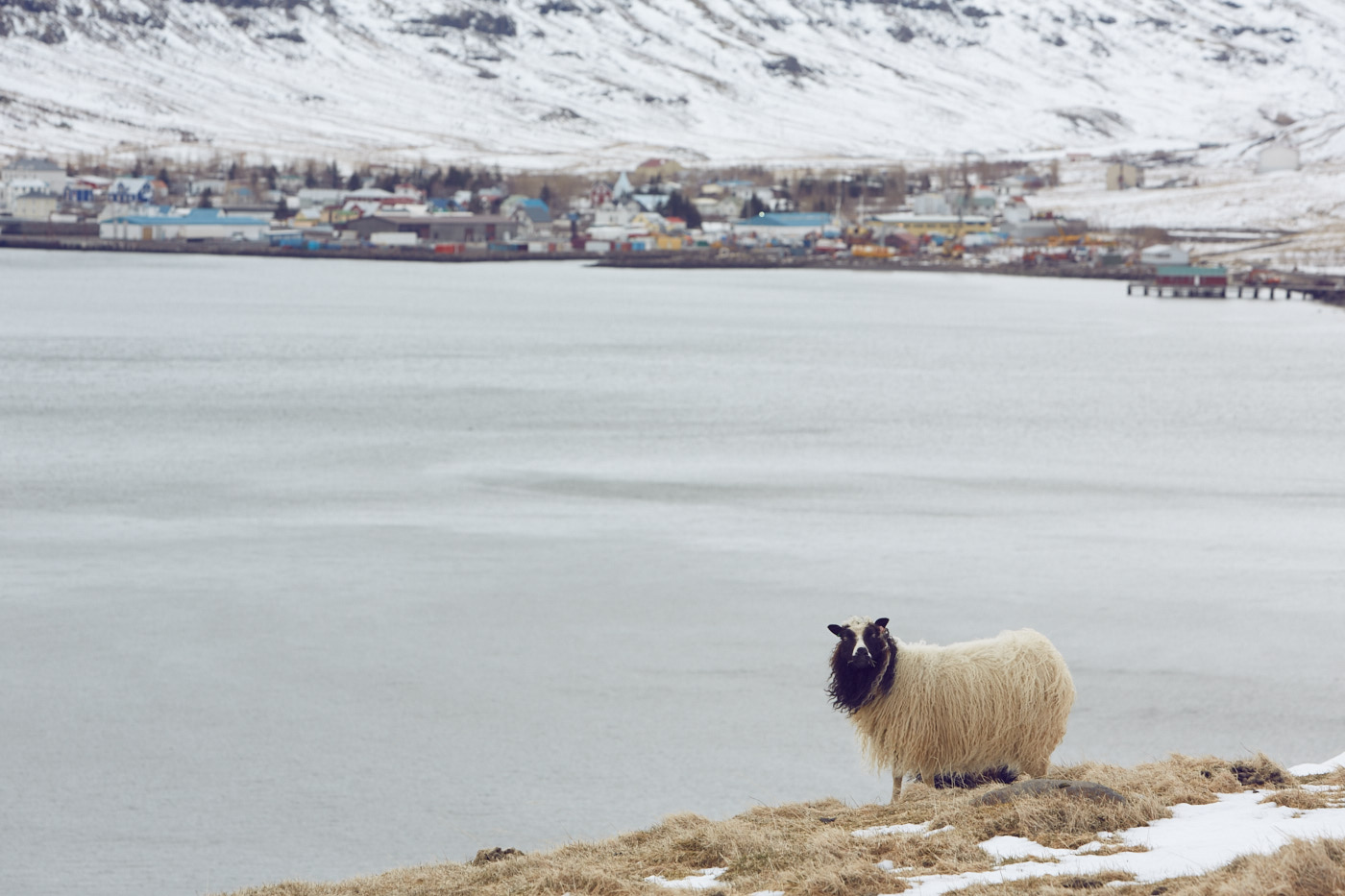 Iceland