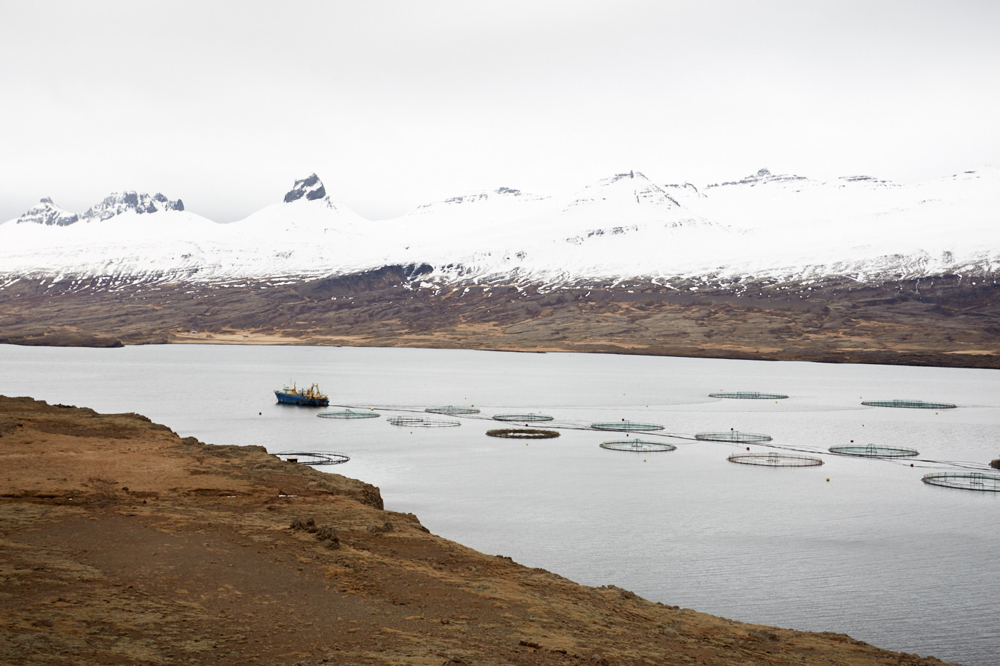 Iceland