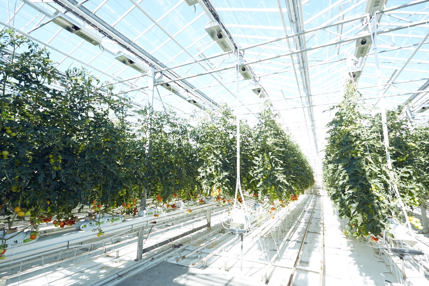 Iceland