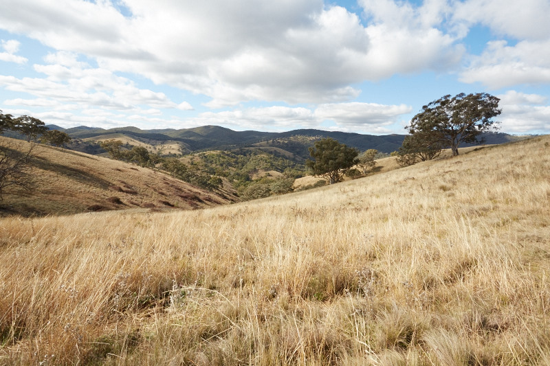 Mudgee