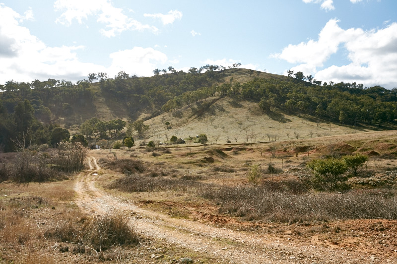 Mudgee