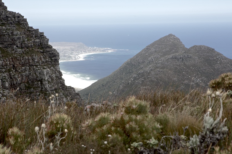 Silvermine
