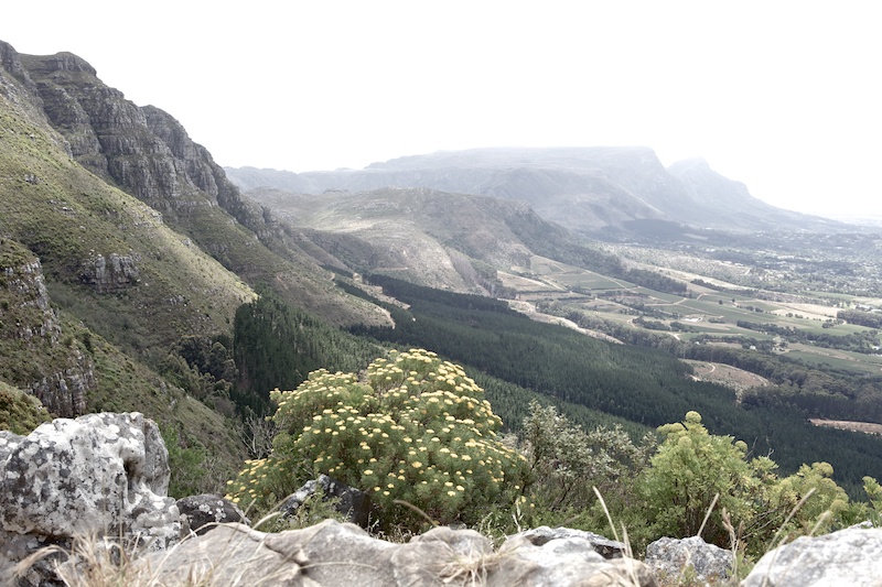 Silvermine