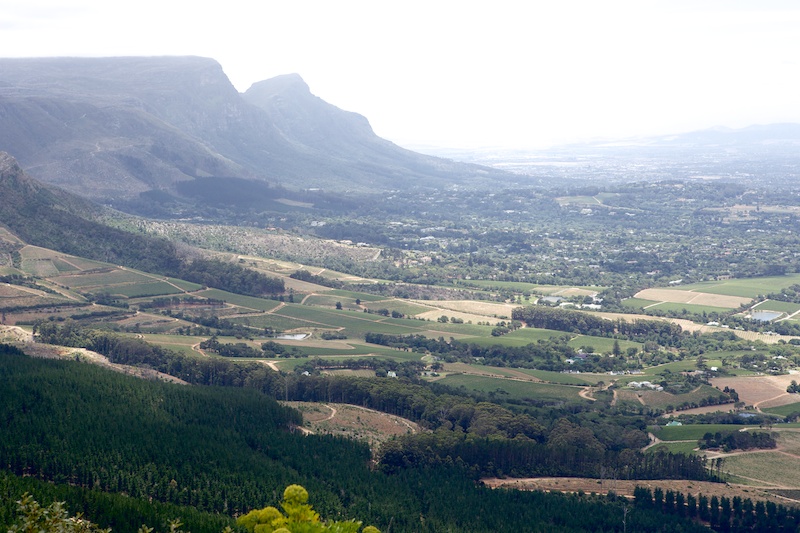 Silvermine